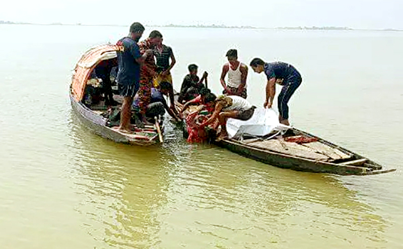 ফাইল ছবি